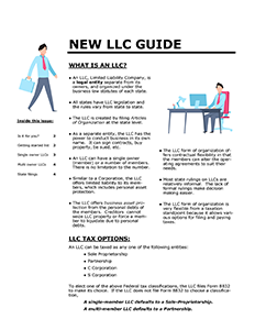 LLC Guide